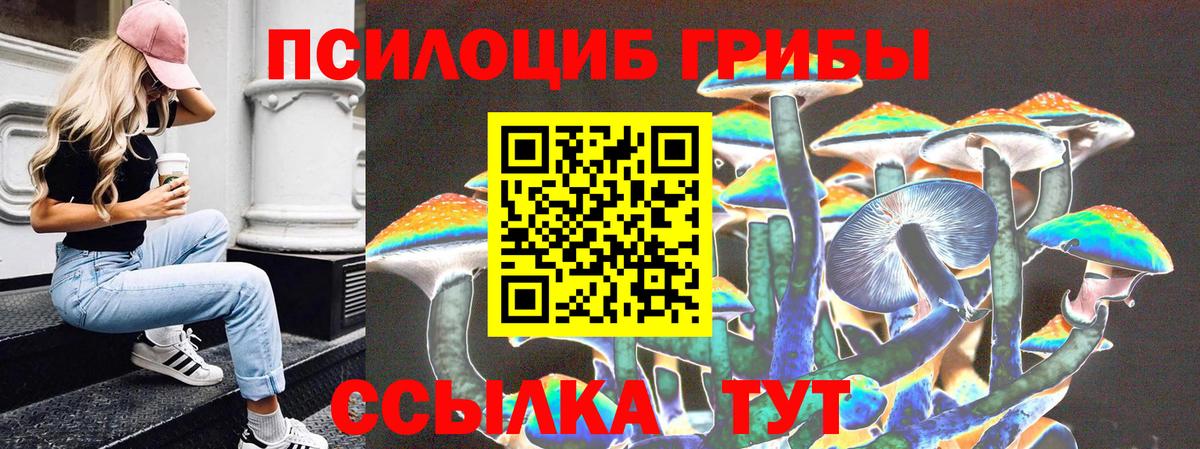 Псилоцибиновые грибы MAGIC MUSHROOMS  Вход с VPN  Беслан  Галлюциногенные грибы Magic Shrooms 